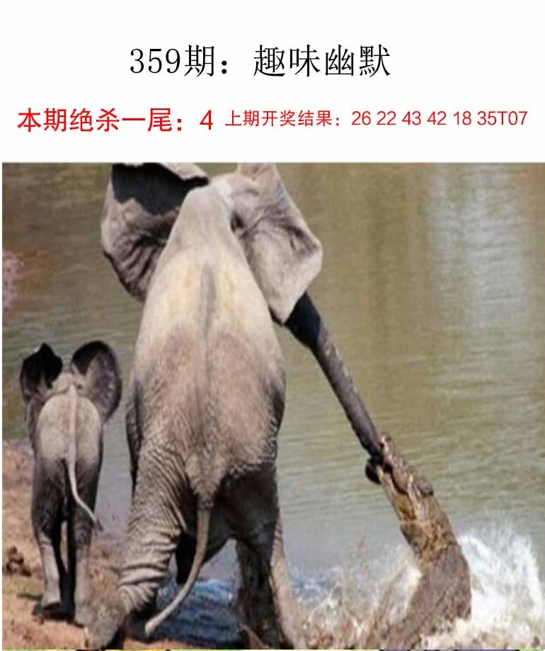 359期趣味幽默[图]