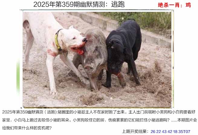 359期幽默猜测[图]