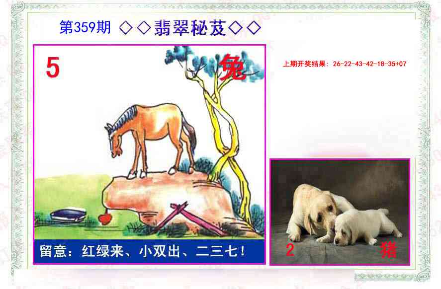 359期翡翠报[图]