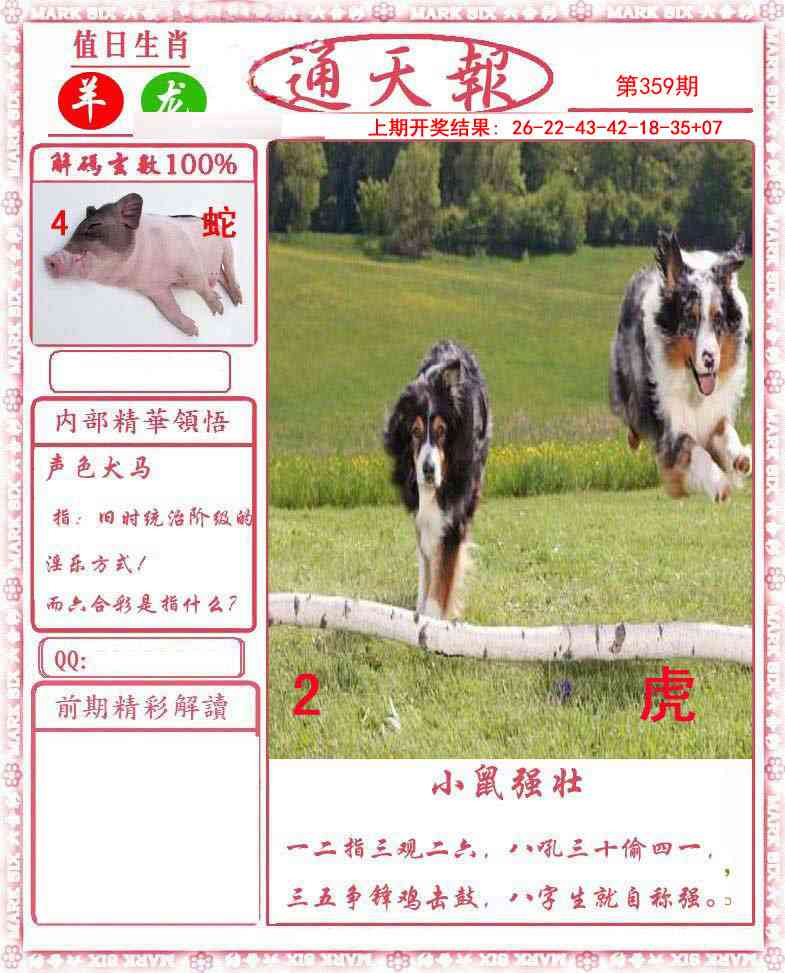 359期正版通天报[图]