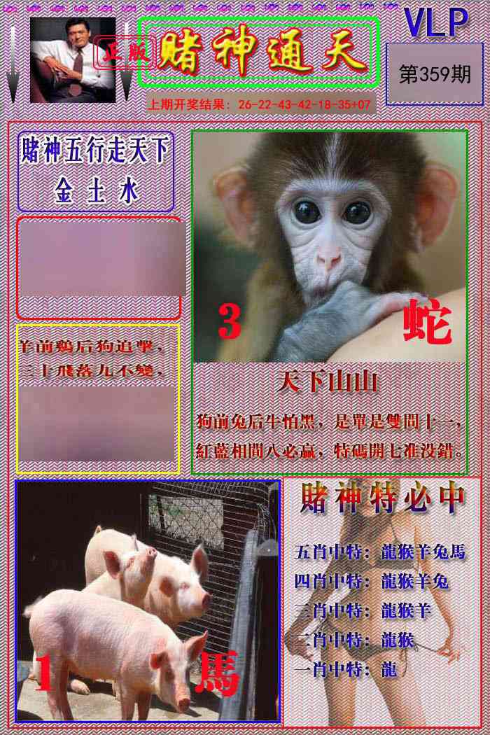 359期赌神通天报[图]