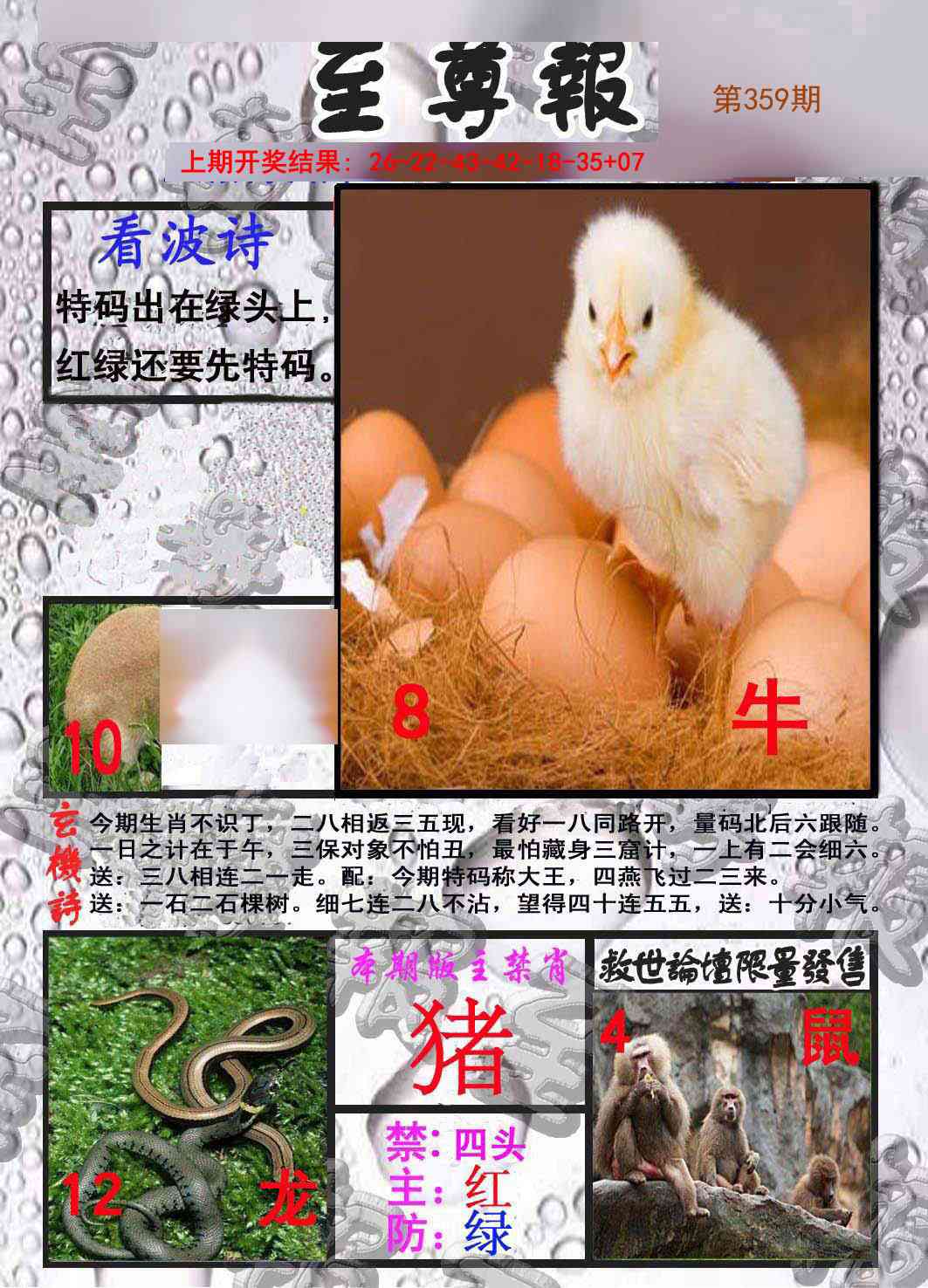 359期至尊报[图]