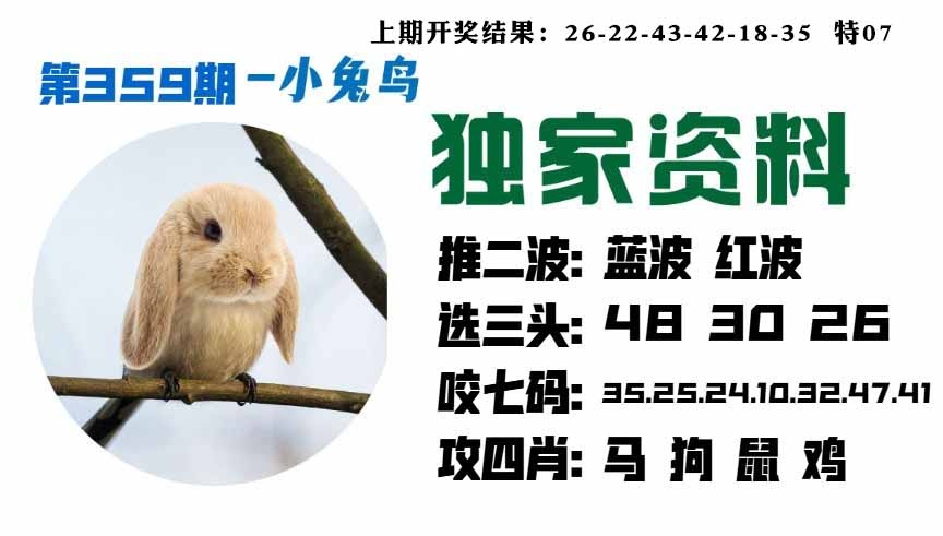 359期小兔鸟[图]