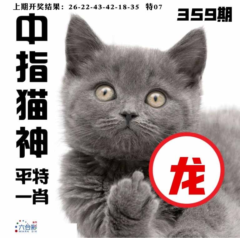 359期中指猫神[图]